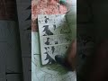 pov: u r drawing from a book #funny