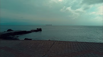 Sentinel Prime (slowed+reverb)