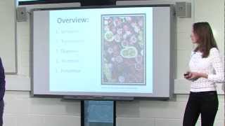Speaking Up - Outlining your Talk