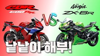 2024 CBR 600RR VS 2024 ZX 6R 전격비교!!