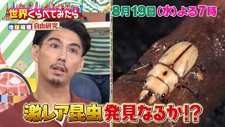 世界くらべてみたら★キテレツ佐々木激辛！SixTONES森本自由研究🈑