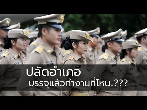 วีดีโอ: ที่ไหนและอย่างไรที่จะบ่นเกี่ยวกับปลัดอำเภอ