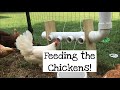 I made a PVC Chicken Feeder