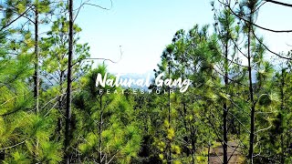 NATURAL GANG - "Réveillez-vous" (clip officiel) chords