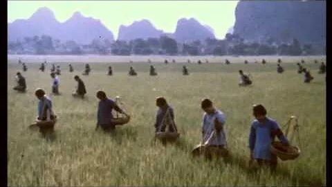 Qui a succédé à Mao ?