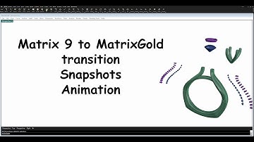 MatrixGold Snapshots Animation