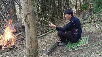 Create special bamboo trap to trap Silver Pheasant in the forest