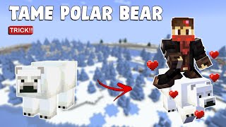 How to Tame Polar Bear in Minecraft - TUTORIAL