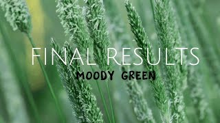 Create greeny effect in capcut | #moody | #moodygreen | #edit | #shorts | #viral