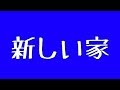 【セキセイインコ】♯048　新しい家