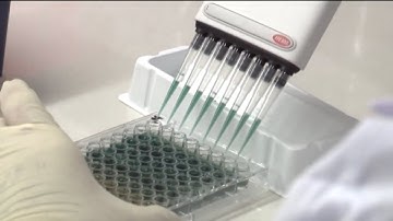 Việt Nam sắp có vacxin phòng sốt xuất huyết