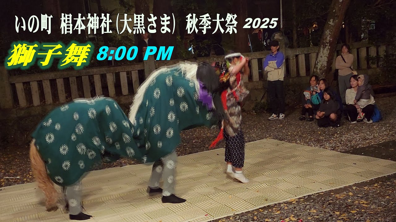 Shishimai, Sugimoto Shrine Autumn Festival 2025, 【獅子舞】午後８時００分から境内で・椙本神社（大黒さま）秋季大祭　(4k) 高知県いの町