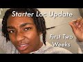 Loc Journey Update| Frizz, Maintenance, and More- Two Strand Twist Starter Locs