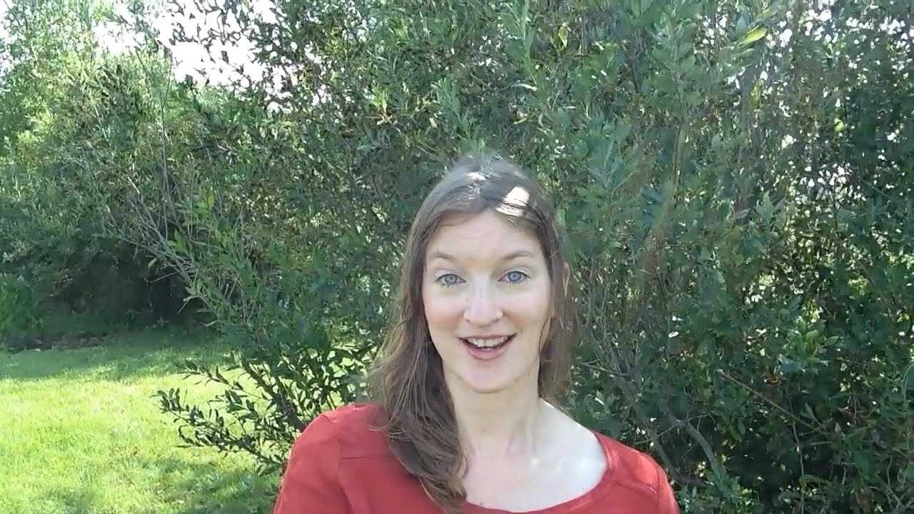 How to Avoid Scams/Identity Theft and Get Paid Safely When Working as a Freelance Writer