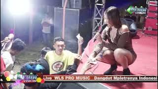 Bisikan Rindu WLS PRO Music - Daplang Bareng  Pemuda Tamansari  GABUT - GODO WINONG PATI