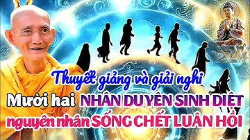 Mười hai nhân duyên sanh diệt nguyên nhân sống chết luân hồi. Ht. Thích Giác Khang
