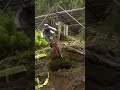 Daprela Is A Wildman!