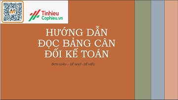 Báo cáo tài chính| Hướng dẫn đọc Bảng Cân Đối Kế Toán đơn giản