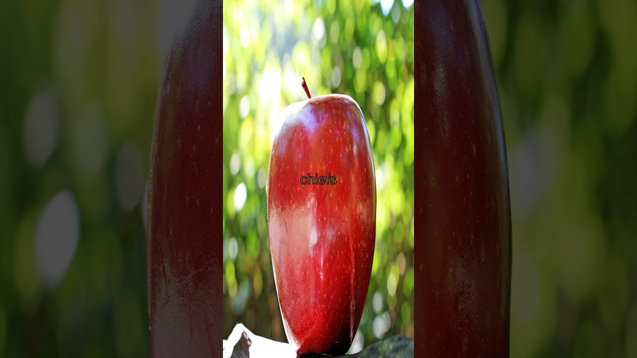 The Unraveling of Frank Reich: Will He Survive the Storm?