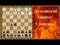 Шахматы дебюты. Латышский гамбит. 5 ловушек!