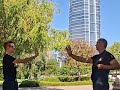 Wing Tsun Kung Fu formagyakorlat a BudaParton