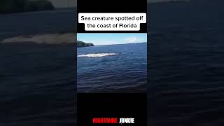 Terrifying Encounters with Mysterious Sea Creatures You Won't Believe Exist! Scary Comp