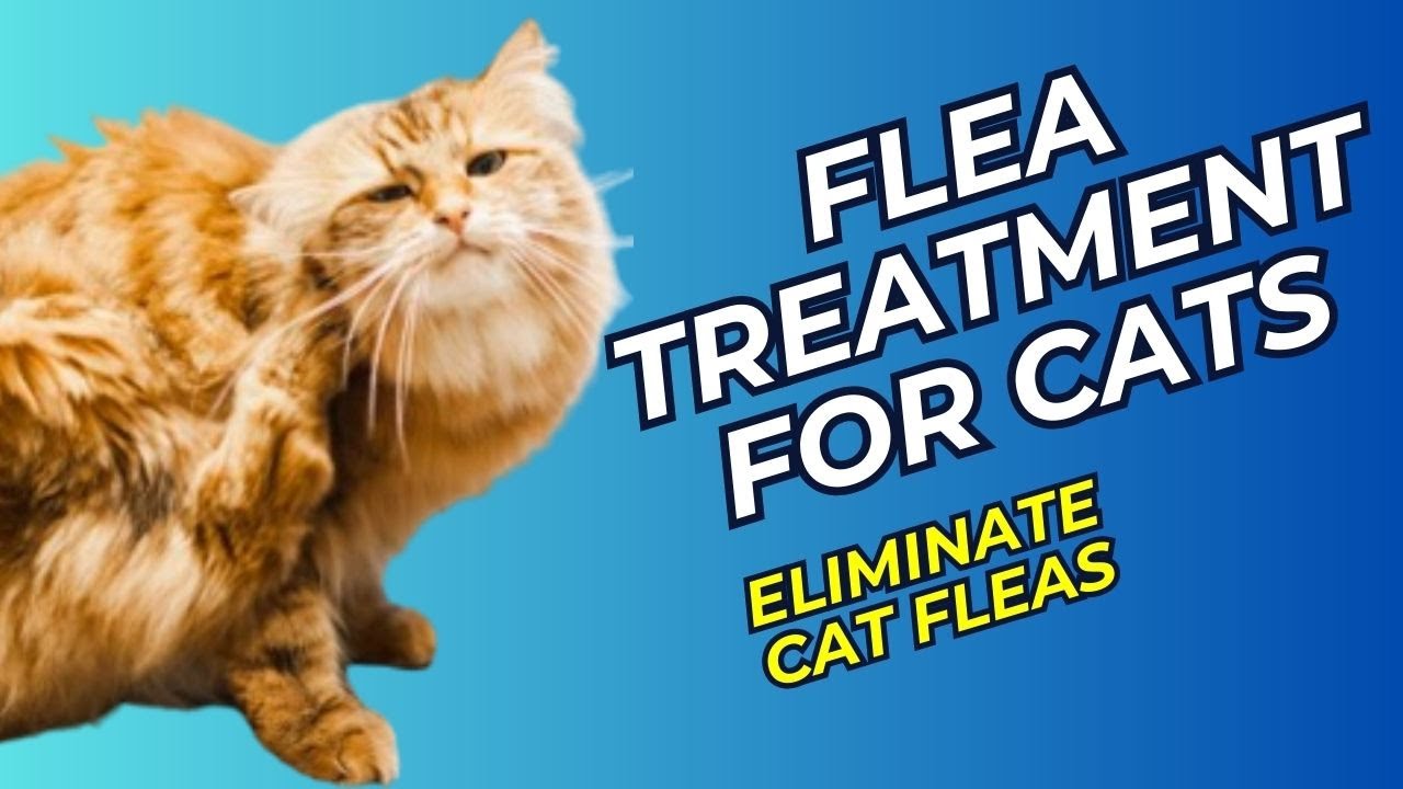 Flea Treatment For Cats / Eliminate Cat Fleas / Cat Fleas / Cat ...