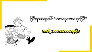 မြိုင်ရာဇာတွတ်ပီ ကျွနုပ်နှင့် စေတနာဝေဒနာဖြစ်