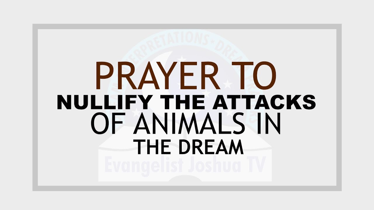 Short Prayer to Nullify The Attacks of Spiritual Animals - YouTube