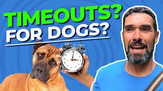 Dog Timeouts: Why Dogs Need It + How To Do It The Right Way screenshot 4