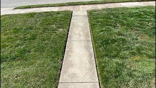 SUPER Satisfying edging! Real time lawn care