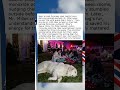 SLEEPIEST WATCHDOG BECOMES A HERO WHEN IT MATTERS MOST 🫡❤️