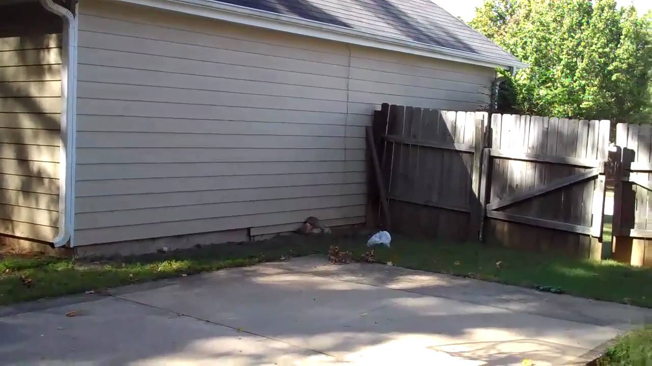 1018 Birch Cir Auburn AL HUD Foreclosure Home for sale YouTube