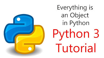 #8 Python Programming - Everything is an Object!