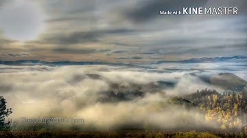 تلاوة بديعة من سورة النساء ادريس ابكر ..