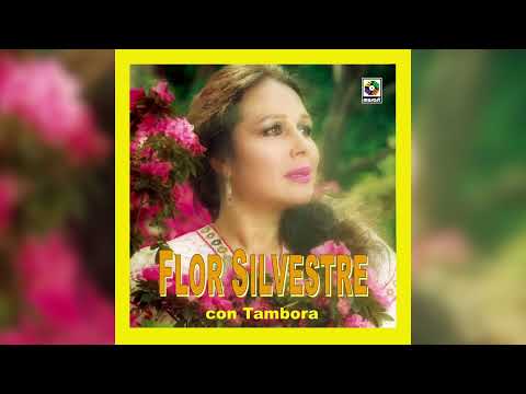 Flor Silvestre - Ojitos Soñadores (Visualizador Oficial)