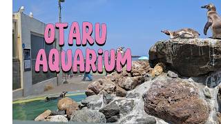 Exploring Otaru Aquarium in Hokkaido | Penguins, Dolphins & Ocean Views