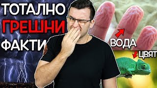 Топ 10 тотално ГРЕШНИ факта, в които хората ОЩЕ ВЯРВАТ