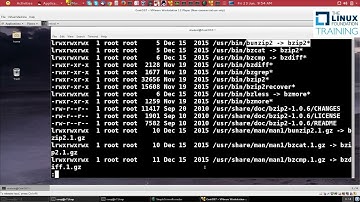 Low-Level RPM Package Management with rpm