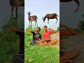 tu Radha Meri Main Shyam Tera 🥰♥️🙏#vfx video #trending #viralvideo