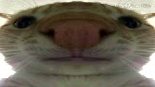 OUTRO SONG EARRAPE