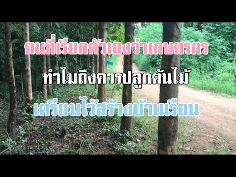 เกษตรกรส่วนใหญ่มีที่ดินควรปลู