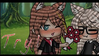 Try Flashing Warning