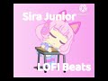 Bubblegum Lofi Friday Night Funkin VS Arty And Alyssa