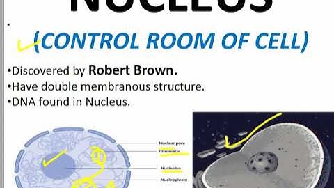 JKSSB Class IV  Revision Biology  #Science by home academy