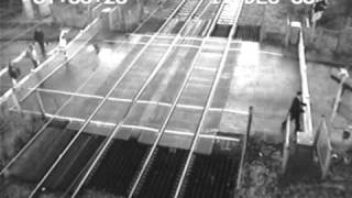 Persona atropellada por tren sin un rasguño