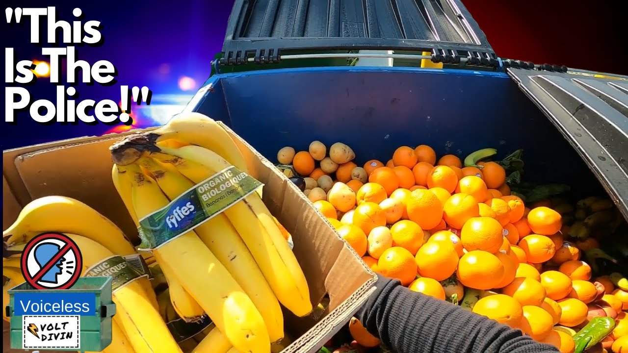 Voiceless Dumpster Diving (Mr. Volt Plays a prank on our son)  S2E16