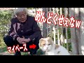 養老孟司とまるのお散歩ルーティン