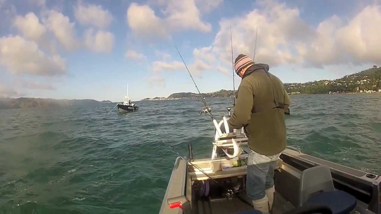 Fishing Wellington Harbour, NZ A slow winters day... YouTube