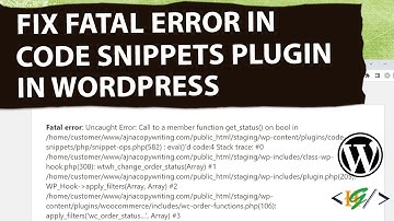 How to Fix Fatal / Uncaught Error in Code Snippets Plugin in WordPress | Per Page & Global Method
